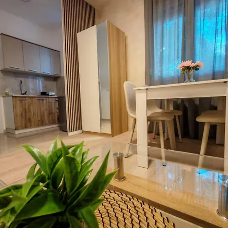 Apartament 6- Sokobanjica *