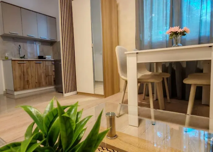 アパート 6- Sokobanjica *